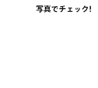 写真でチェック!2013年の様子を公開中!