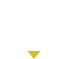 SNS