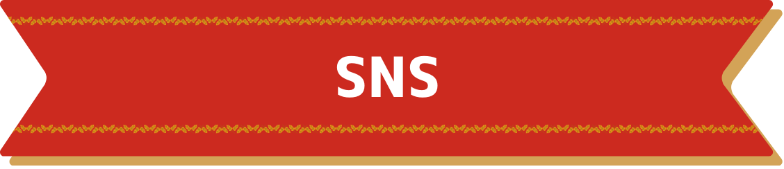 SNS