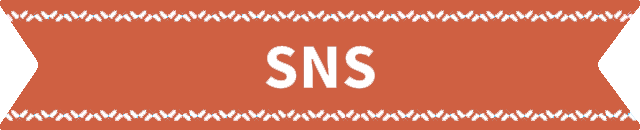 SNS